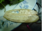 ｇ若いバナナは野菜です.JPG